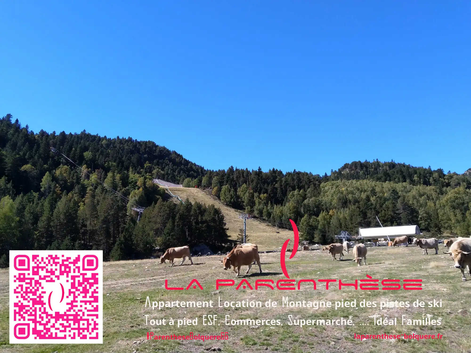 location appartement à Bolquère Pyrénées 2000 Font-Romeu au pied des pistes