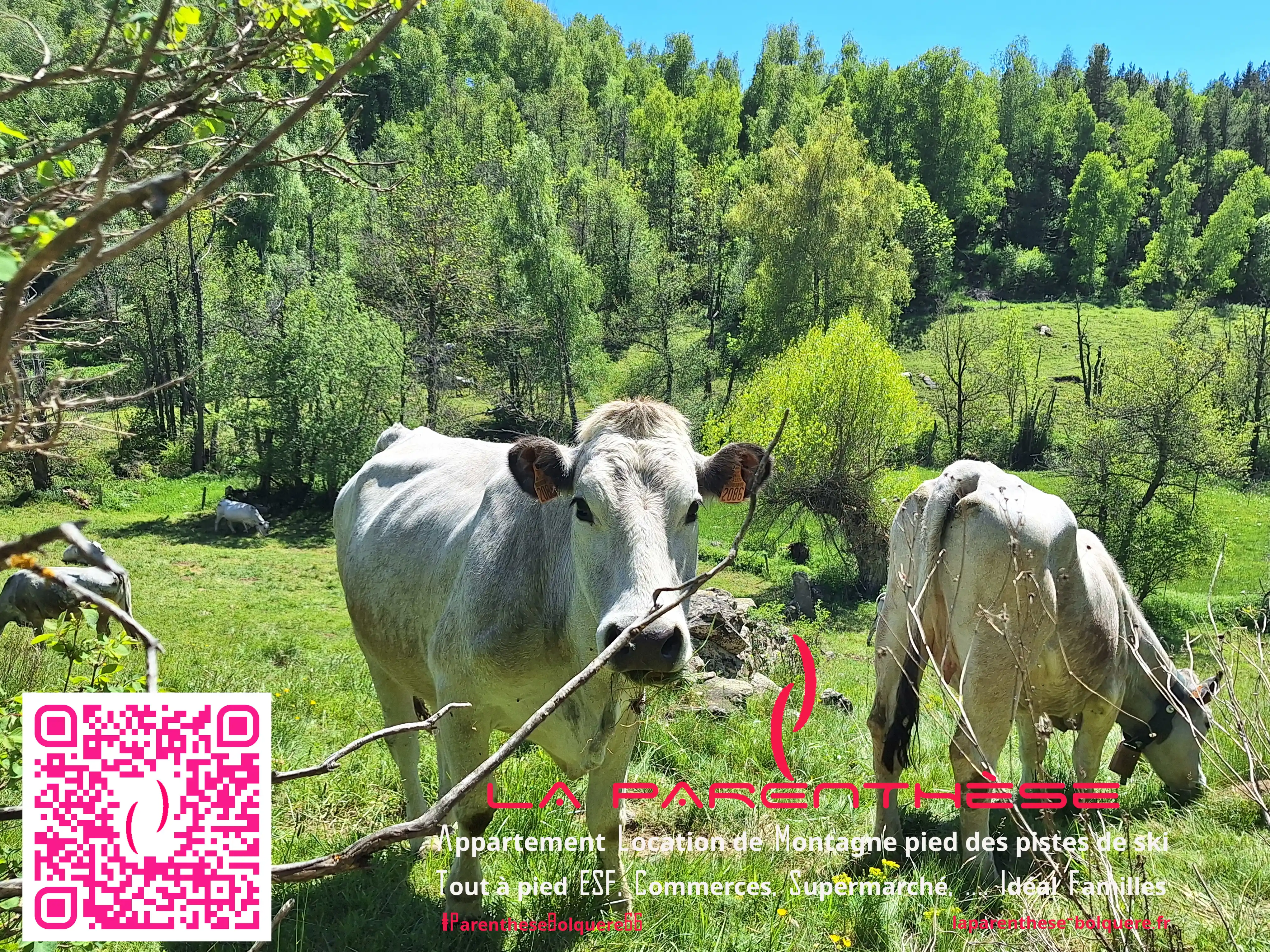 Appartement de vacances à louer à Bolquère, proche luges, jeux gonflables et commerces